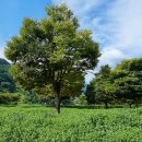 신원청연마을 이미지