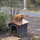 한사랑교회 이미지