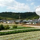 우포마을민박 이미지