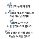대전선원 네이버블로그