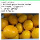 하영농수산