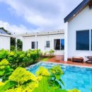 제주달로와 이미지