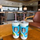 서해안로 | 제주 여행) 스타벅스 제주서해안로 DT점, 제주 텀블러 구매후기 등