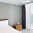 팔레드시즈 이미지