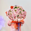 사파동200 이미지