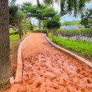 회산백련지 소공원 이미지