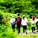 제주 올레길 14-1코스 이미지