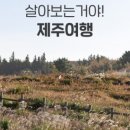 제주M리조트 이미지