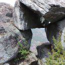 선명사슴농장 이미지