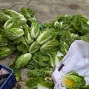 영자농장 이미지