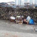 지마카롱 이미지