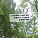 2024년6월29일(토)북한산 둘레길 소나무공원 솔셈역 8.5km 이미지