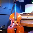 콘트라베이스 이미지