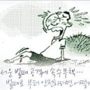 벌떼 - 강화군 강화대로393번길 6 | 벌떼