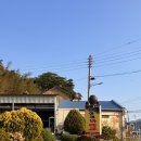 여수 항아리바베큐 용주리항아리바베큐 오리 반마리 후기 및 주차정보