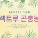 가락초교병설유치원 이미지