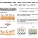 주식회사 피코셀