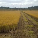 쇠똥구리 농장 이미지