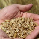 강진슈퍼 이미지