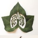 벌레에게서 배운 ‘나뭇잎 예술과 사색’ 이미지