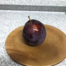 윤희농원