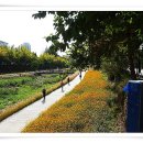 당현천주변 이미지