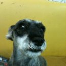 주공슈퍼 이미지