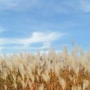 리안펜션 이미지