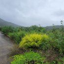 용지마을회관 이미지