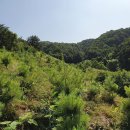 철원농장 이미지