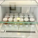 [제주] 우무 한림점 :: 제주도 여행 필수코스! 우뭇가사리로 만든 부드러운 푸딩ㅣ내돈내산 후기