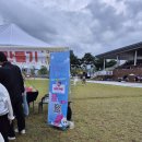 세종중앙공원 | 세종중앙공원에서 꽃 피는 가을 나들이 행사 후기