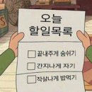 스폰타니티
