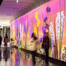 갤러리 미니콘서트 이미지