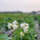 정의종농장 이미지