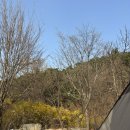 달서별빛캠프 캠핑장(오토캠핑장) | [대구 캠핑장] 달서별빛캠프 명당 자리 추천 오토 6번, 사이트별 뷰, 차박 텐트 설치 방법, 예약 방법