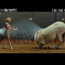 워터 포 엘리펀트 Water for Elephants , 2011 이미지