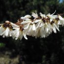 난우중학교 이미지