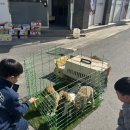 경보목장 이미지