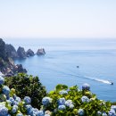 통영농협하나로마트 이미지