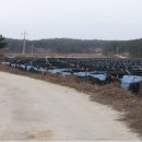 여주-0710 이미지