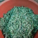 고맙습니다 (12월 10일 수요일) 이미지