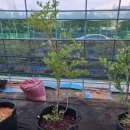 풍악농장 이미지