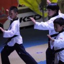 서래태권도 이미지