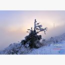 장정주유소 이미지