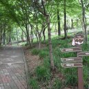 사직공원 유아숲체험원 이미지