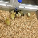 척산농장 이미지