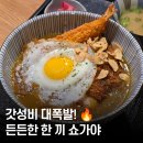 송동면 백평마을 | 대전 쇼가야 갈마동 일식 추천 ｜ 덮밥 한 그릇의 행복! 가츠카레 &amp; 시오타래야키 후기