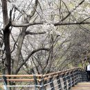 역사힐링길 이미지