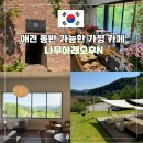 세븐일레븐 가평수목원2호점 | 가평 카페 데이트 코스 나무아래오후N 애견동반 잣두부케이크 추천